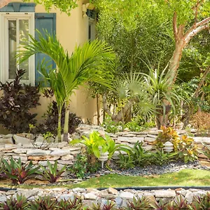 4* Resort Kokomo Botanical - Caribbean Family